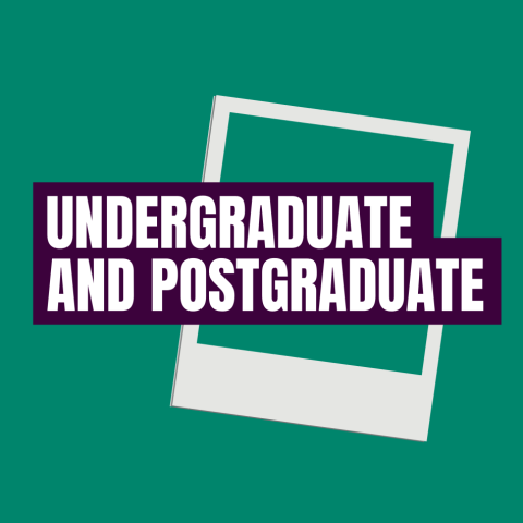 Undergraduate and postgraduate image