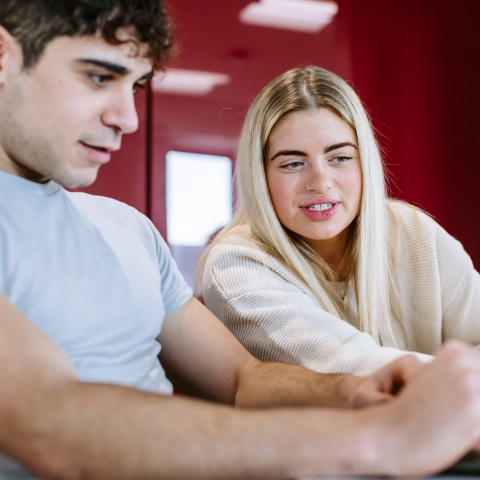 Students studying together 