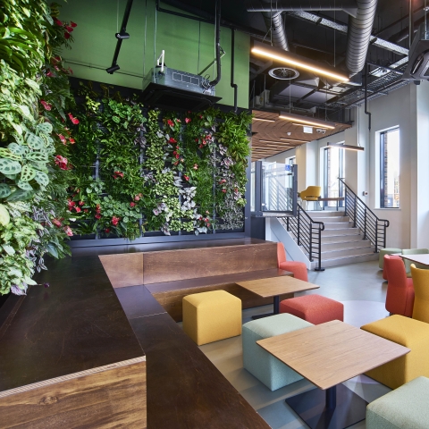 Winter Garden area in Juniper House, London Campus