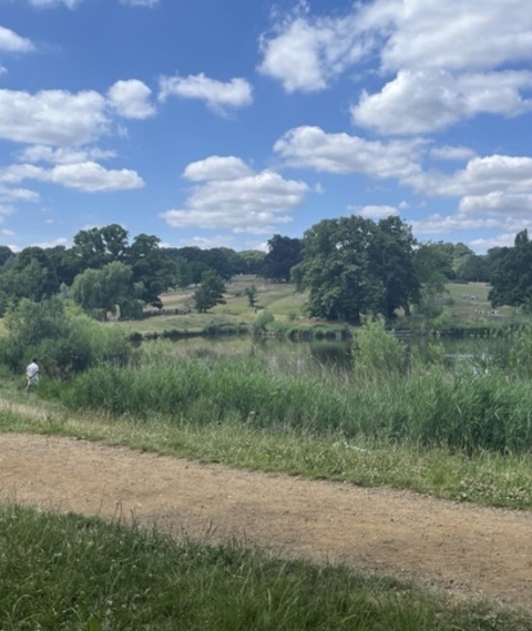 hampstead heath views